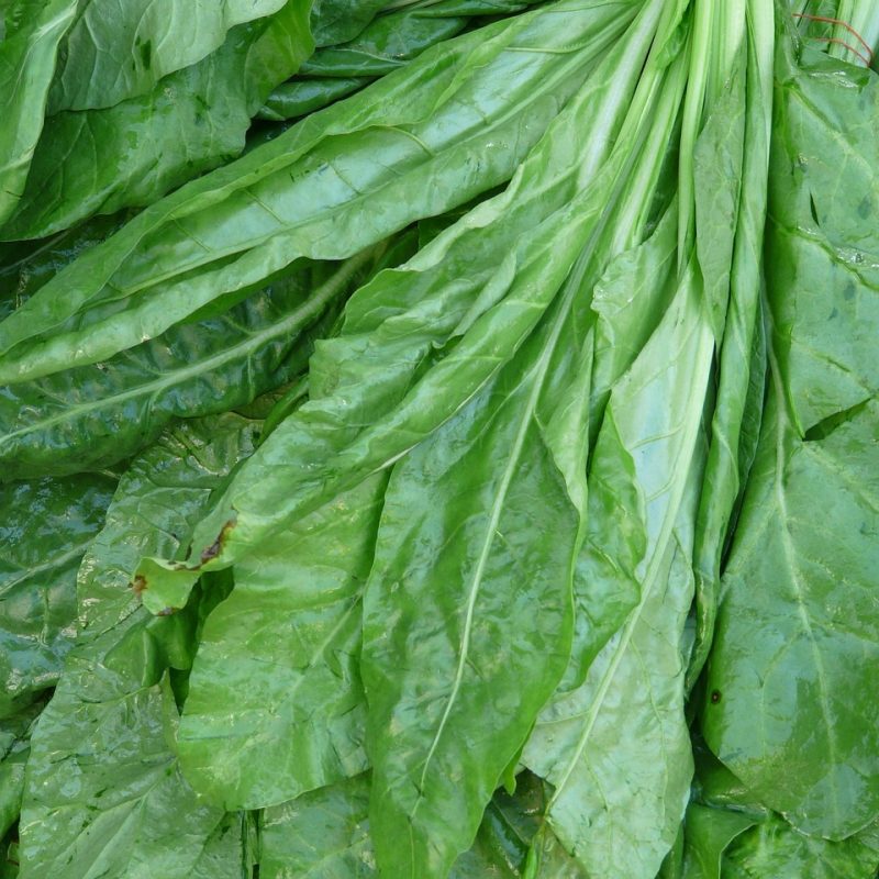 Baby Spinach